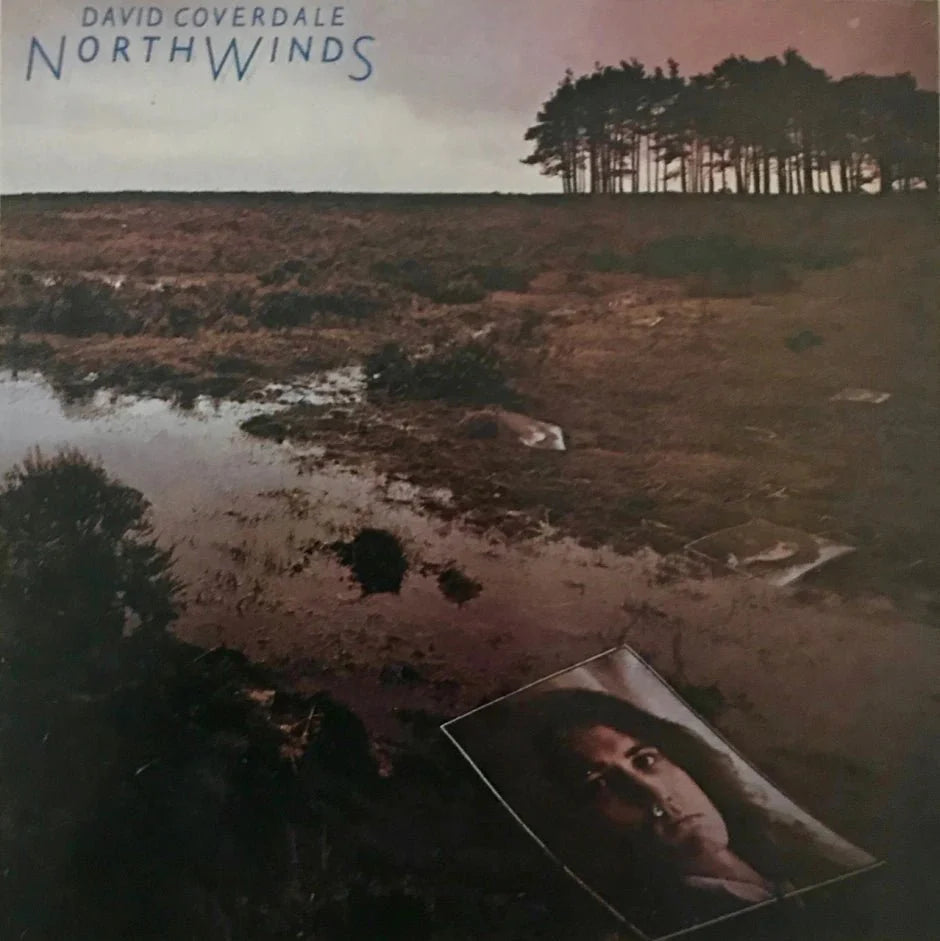 WHITESNAKE - NORTHWINDS - RECORD