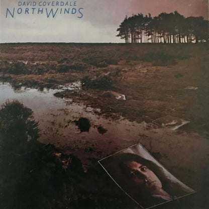 WHITESNAKE - NORTHWINDS - RECORD