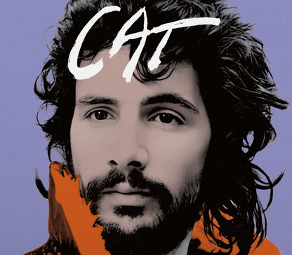 YUSUF ( STEVENS,CAT ) - ON THE ROAD TO FINDOUT: GREATEST HITS - RECORD