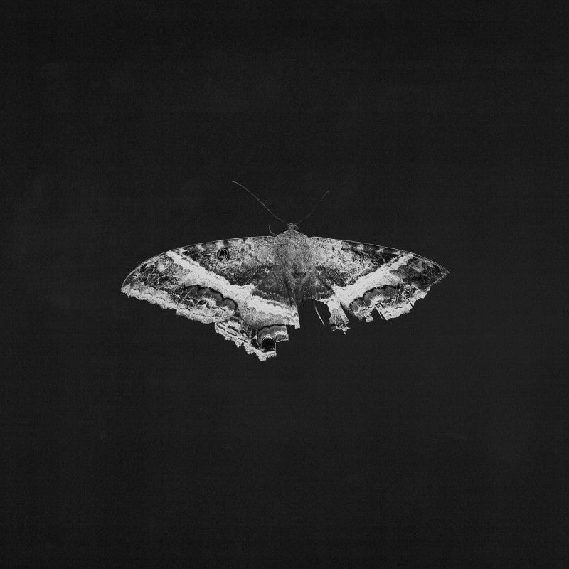 LAMAR,KENDRICK - TO PIMP A BUTTERFLY - RECORD