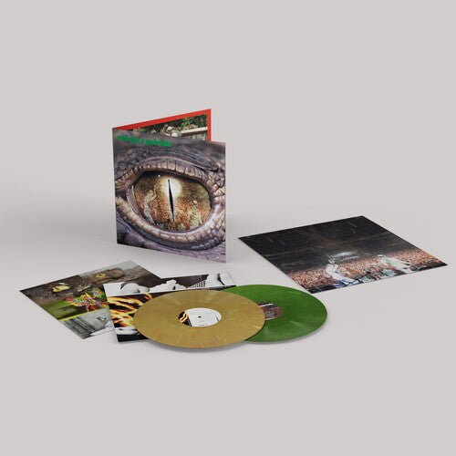 GABRIELA,RODRIGO Y - RODRIGO Y GABRIELA (20TH ANNIVERSARY) / RE-FOC Green & Yellow - RECORD