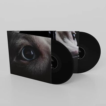 Roger Waters - The Dark Side of the Moon Redux VINYL LP