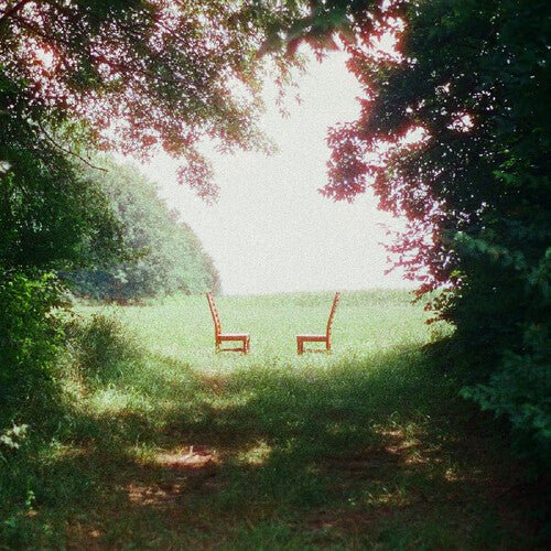 RATBOYS - SINGIN' TO AN EMPTY CHAIR (IEX) - GREEN & BROWN - RECORD