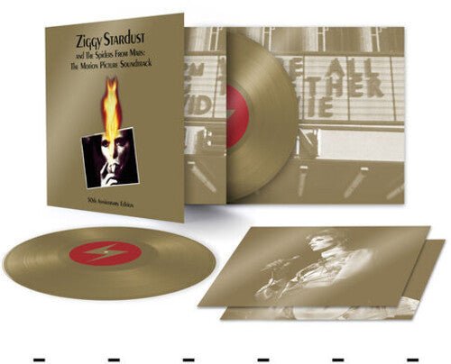 BOWIE,DAVID - ZIGGY STARDUST AND THE SPIDERS FROM MARS: THE - RECORD