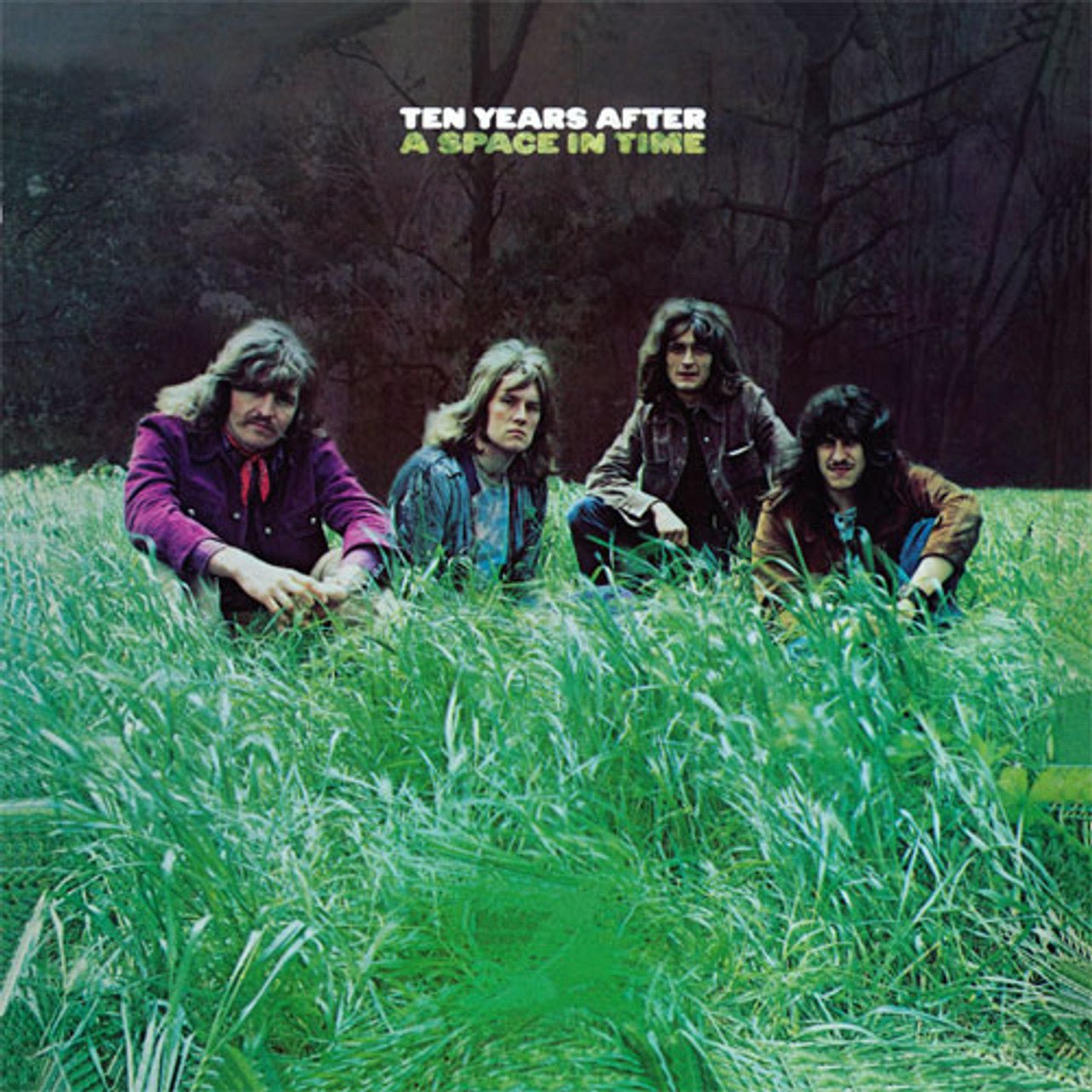 TEN YEARS AFTER - SPACE IN TIME - 50TH ANN. HALF-SPEED MASTER - RECORD