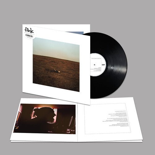 FINK - CITY IS COMING TO ERASE IT ALL - RECORD
