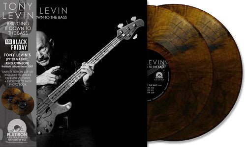 LEVIN,TONY - BRINGING IT DOWN TO THE BASS - RECORD