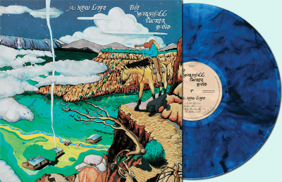 MARSHALL TUCKER BAND - NEW LIFE - RECORD