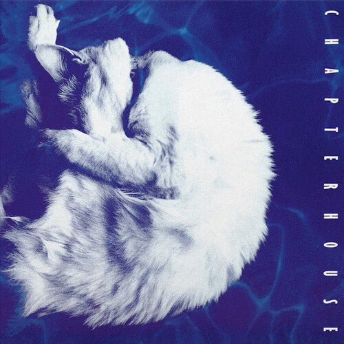 CHAPTERHOUSE - WHIRLPOOL Colored - RECORD