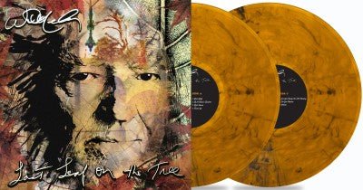 NELSON,WILLIE - LAST LEAF ON THE TREE - RECORD