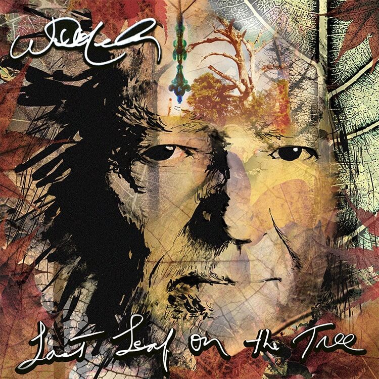 NELSON,WILLIE - LAST LEAF ON THE TREE - RECORD